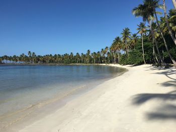 Scenic view of beach against clear blue sky