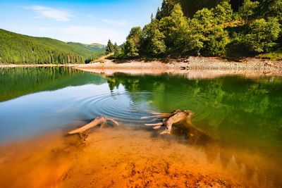 Scenic view of lake against forest and sky