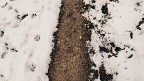 Close-up high angle view of snow