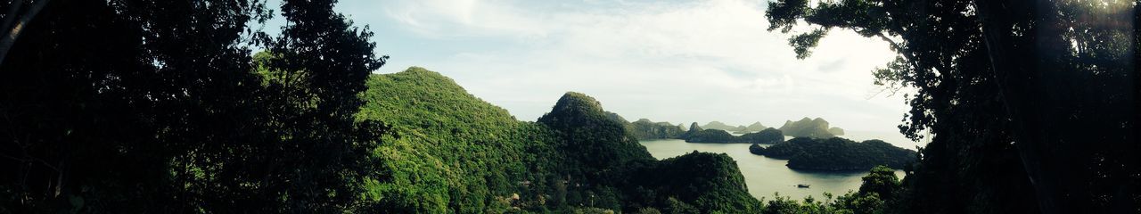 Panoramic view of river amidst trees against sky