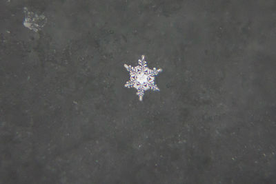 High angle view of people on snow