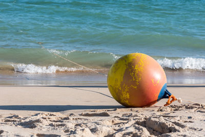 Close-up of tomato on shore at beach