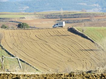 Scenic view of agricultural field