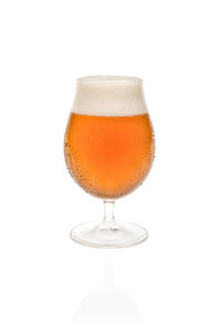 Close-up of beer glass against white background