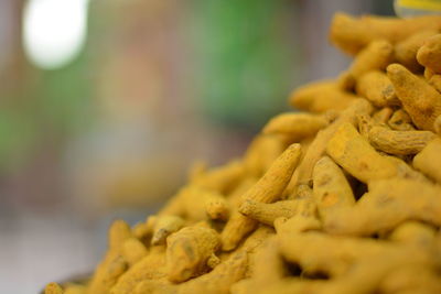 Close-up of plant against blurred background