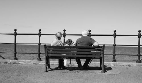 Rear view of couple with dog sitting on bench against clear sky