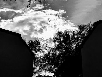 Low angle view of silhouette tree against sky