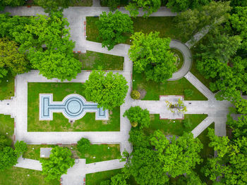 High angle view of trees on field