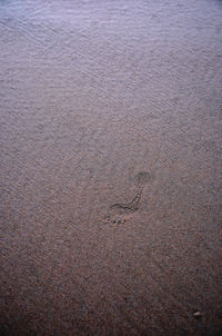 High angle view of beach