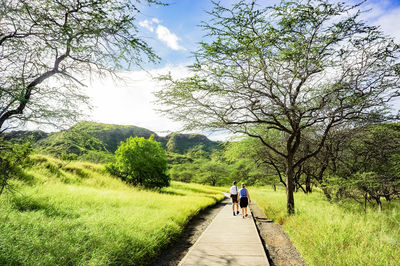 Rear view of people walking on footpath amidst grassy field