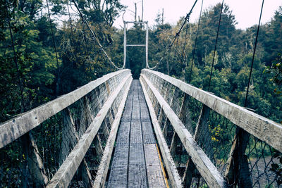 Bridge in forest