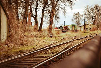 Railroad tracks amidst bare trees against sky