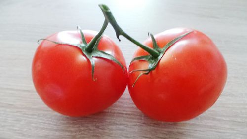 Close-up of tomatoes on table