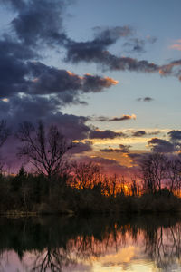 Silhouette trees on landscape against sky at sunset