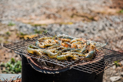Close-up of shrimp on barbecue grill