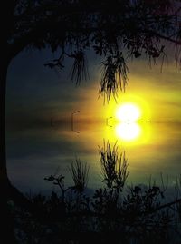 Silhouette trees against sky during sunset