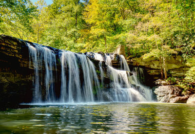 Scenic view of waterfall in forest