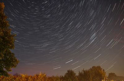 Low angle view of trees against sky at night