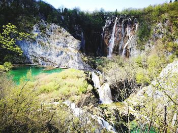 Scenic view of waterfall in forest