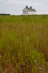 House on field against sky