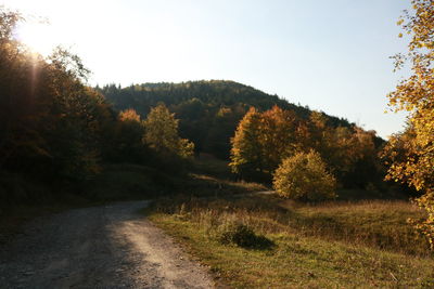 Road amidst trees against sky