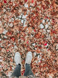 Low section of person standing on autumn leaves