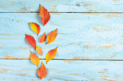 Close-up of autumn leaves on table against wall