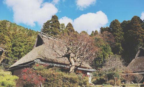 Japanese traditional house