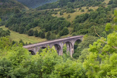 Arch bridge amidst trees in forest