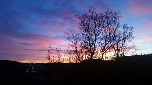 Silhouette of trees at sunset