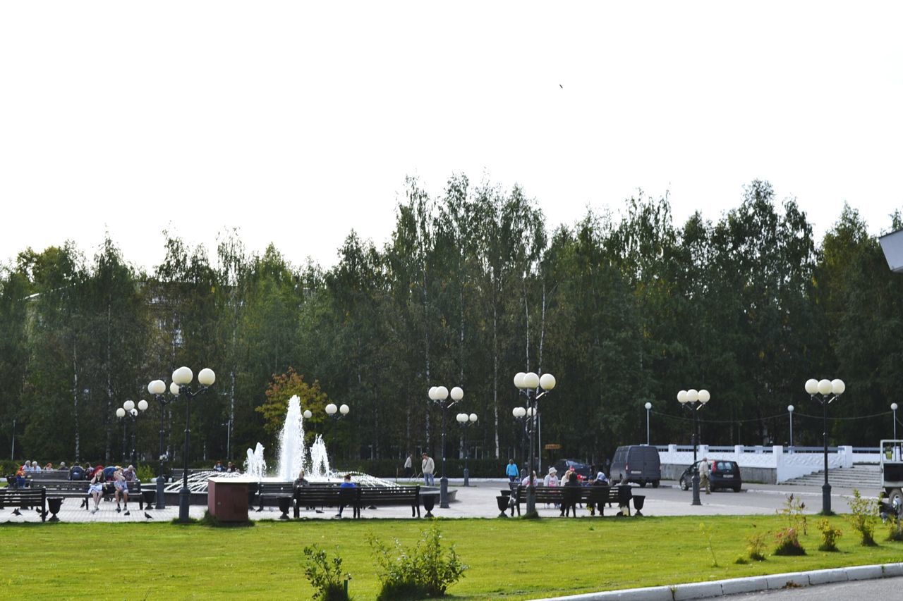 tree, large group of people, grass, clear sky, park - man made space, leisure activity, person, men, lifestyles, mixed age range, copy space, park, lawn, green color, architecture, built structure, building exterior, relaxation, sitting