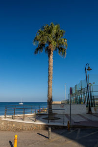 Palm trees on beach against clear blue sky