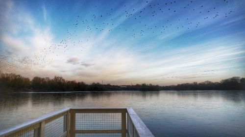 Birds flying over lake against sky during sunrise