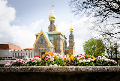 Flowers on rock against russian chapel church