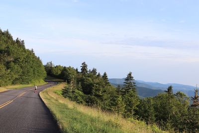 Road by trees against sky