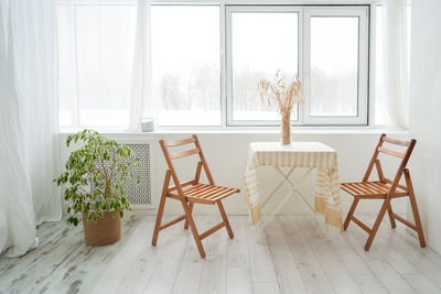 Potted plants on table at home