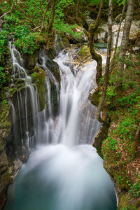 Scenic view of waterfall in forest