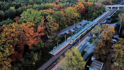 High angle view of road amidst trees