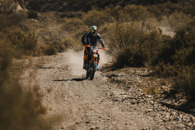 Rear view of man riding bicycle on field