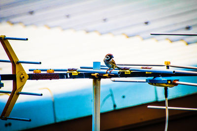 Close-up of airplane in water