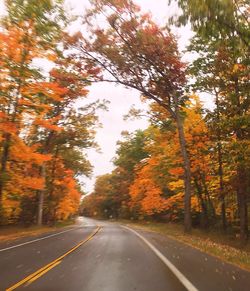 Road amidst trees in forest during autumn