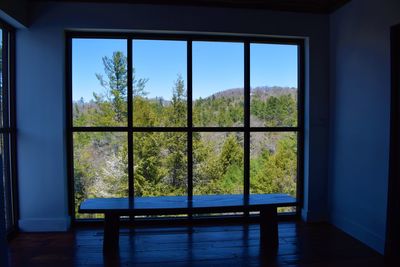 Trees seen through window