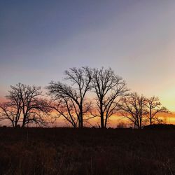 Silhouette bare trees on landscape against sky