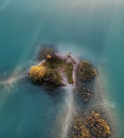 Aerial view of sea