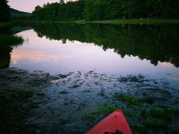 Reflection of trees in lake against sky