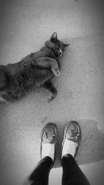 Low section of person standing on tiled floor