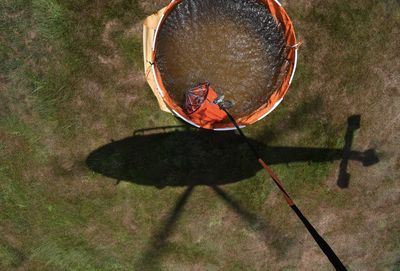 High angle view of plant on field