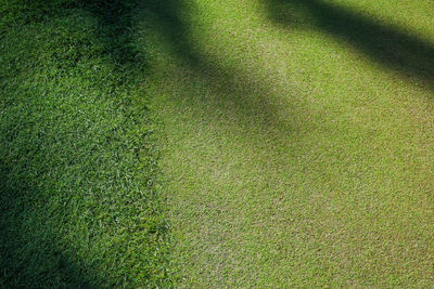 Full frame shot of grass on field