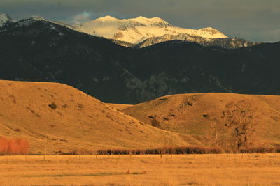 Scenic view of field and mountains against sky