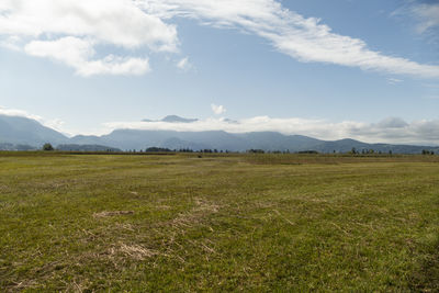 environment
